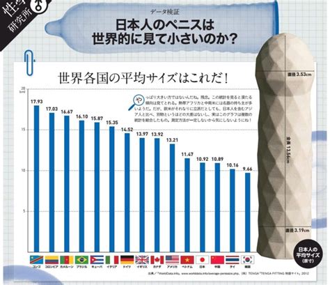 ペニスの平均的な長さと太さとは？複数の研究データ。